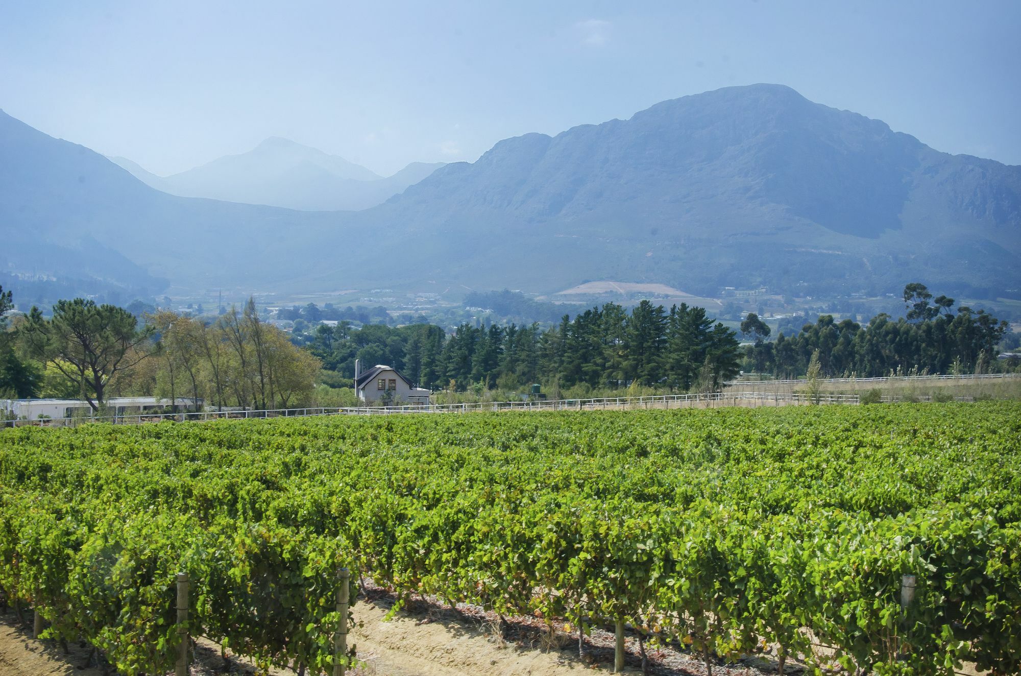 Mont Rochelle Hotel And Vineyard Franschhoek Buitenkant foto